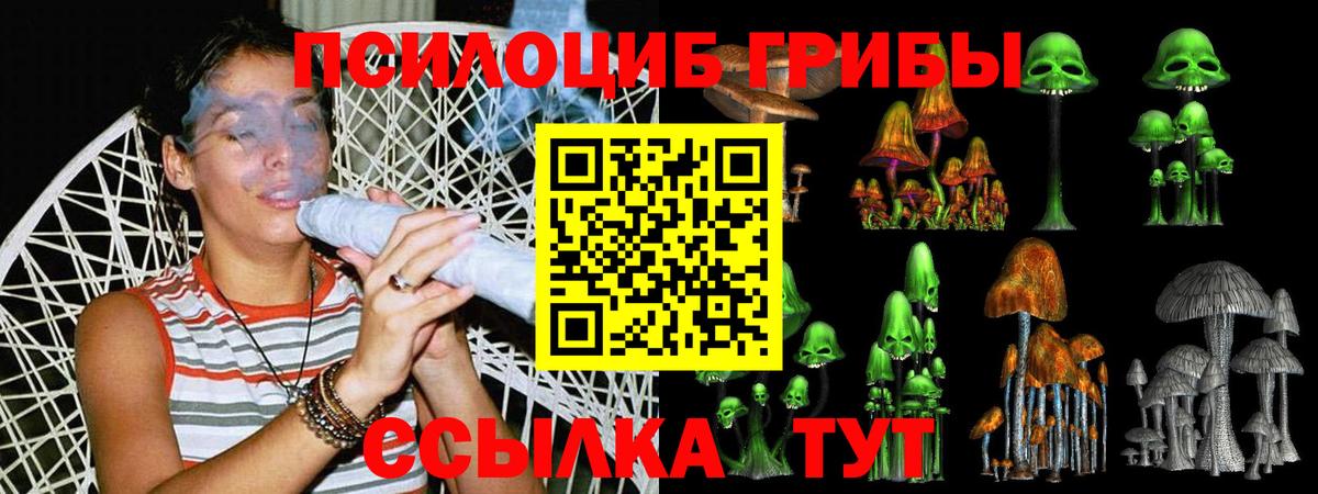Псилоцибиновые грибы Psilocybe Ухта