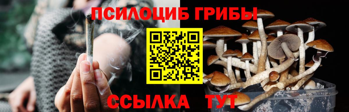 Ухта  Псилоцибиновые грибы Magic Shrooms  продажа наркотиков  Галлюциногенные грибы Magic Shrooms  Вход с VPN 